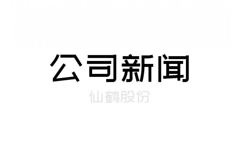 仙鶴股份有限公司年產10萬噸高檔紙基材料技改項目公參